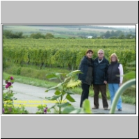 16701 Weinberge Bullenheim Oberfranken 2010.JPG